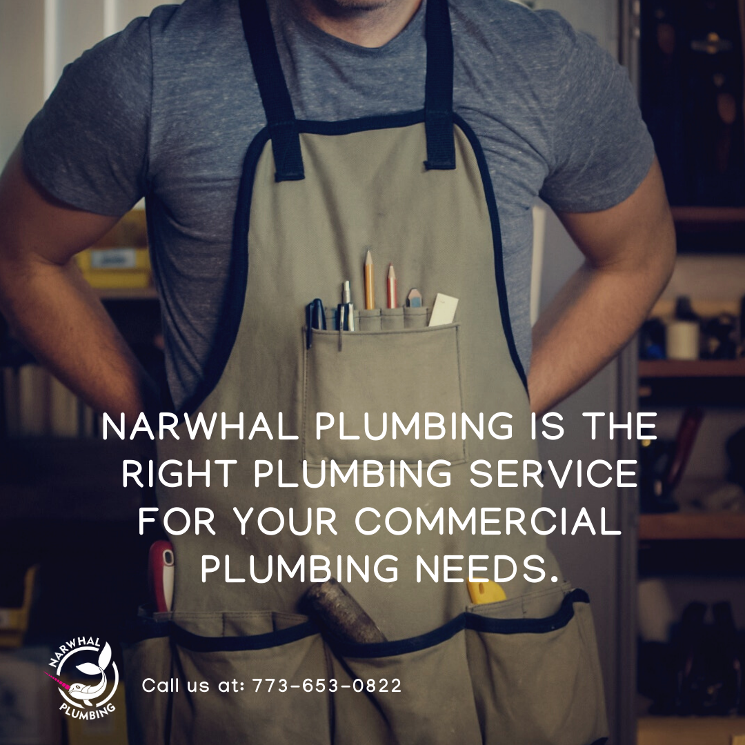 3e2732a6 2e3e 4ccd a0fa bb6019901ab3