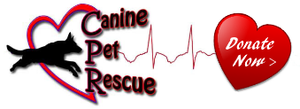 Gwinnett Business Canine Pet Rescue in Dacula GA