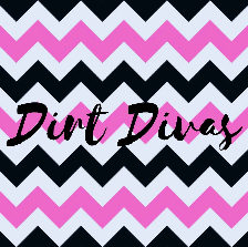 Gwinnett Business Dirt Divas in Duluth GA