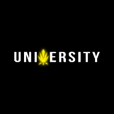 Trap University