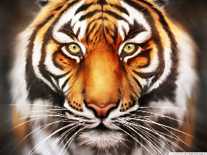 Glass Tiger Tinting