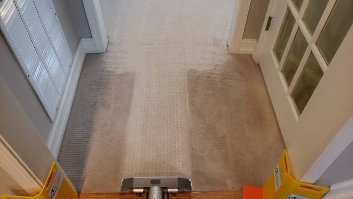 Try us before you hire us / 1 FREE area of carpet cleaning up to 150 sq ft